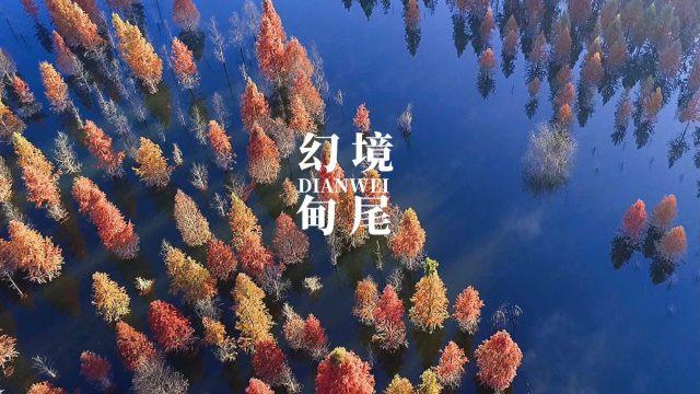 吃玉米面好吗？游戏画面
