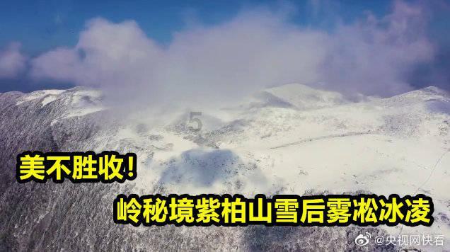 淘气兔救援