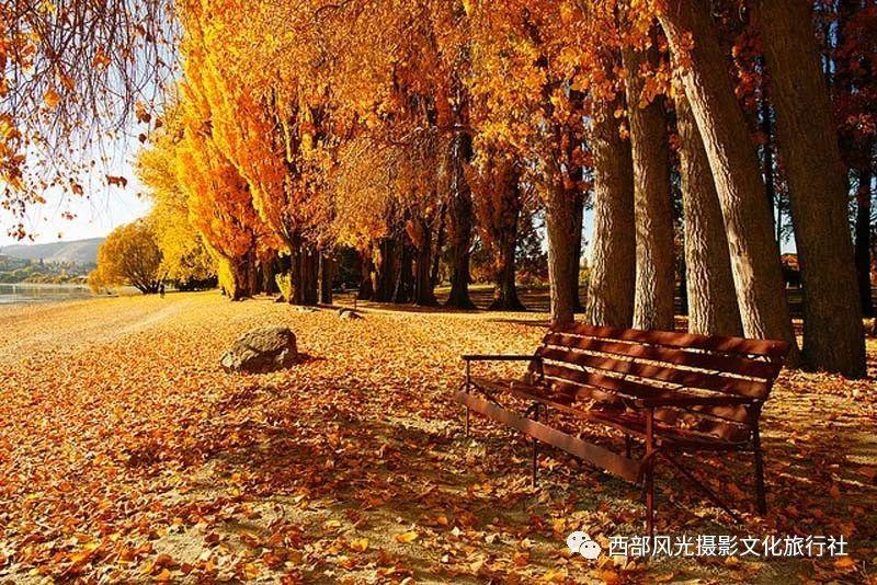 沙滩度假