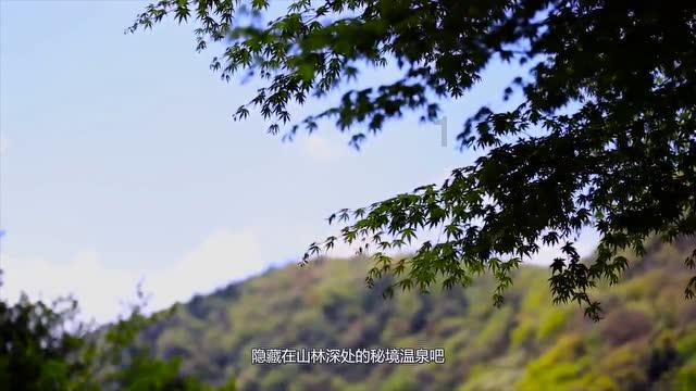 蜂王救援