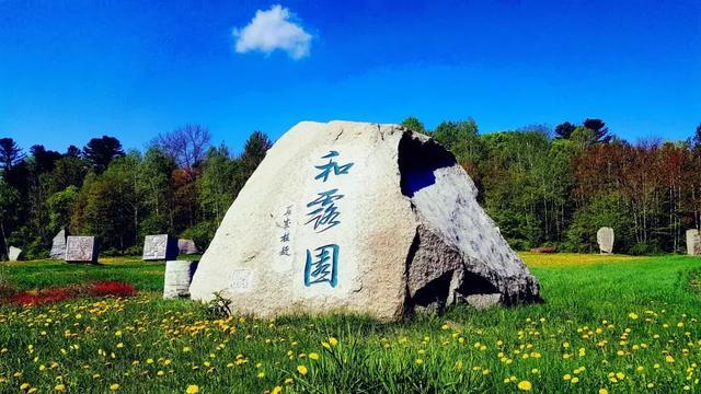 梦幻糖果森林逃生