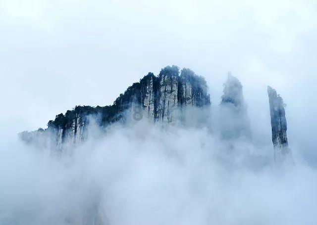 植物大战僵尸反击篇