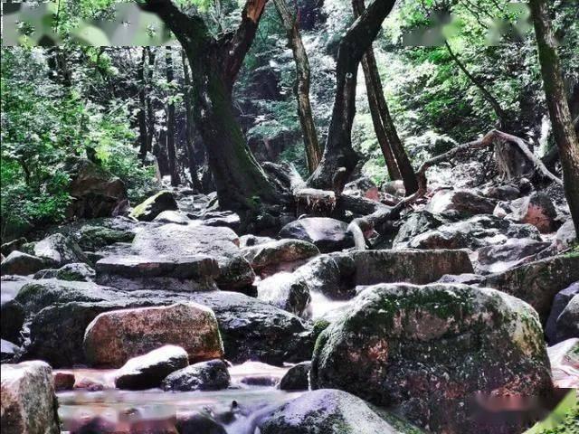 秘密基地找不同