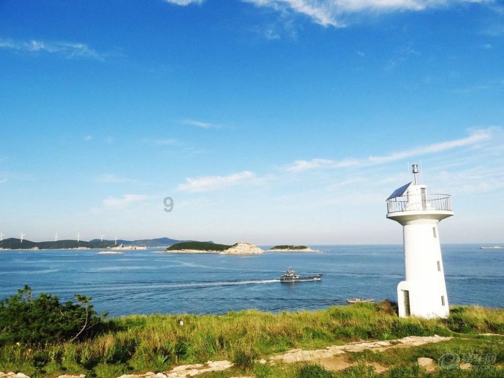 救援鹦鹉