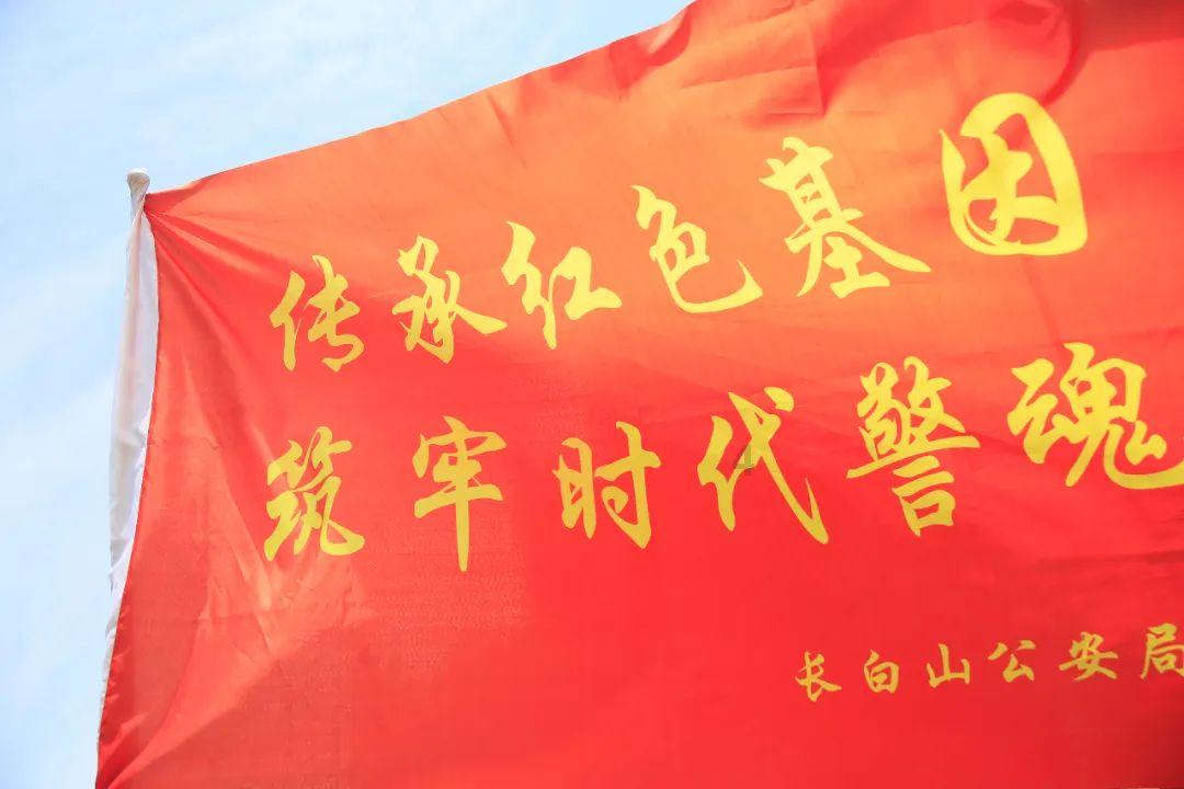 胡萝卜上的绿色突起是什么？游戏画面