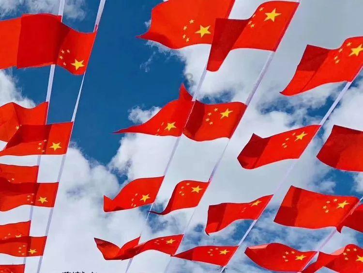 最新成果！洛阳伊川徐阳墓地又发现车马坑