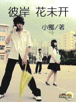 海盗寻宝记选关版