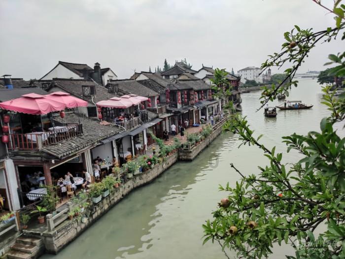 蜂王救援