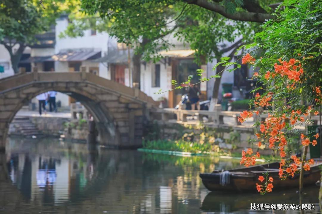 救援受困的小恐龙
