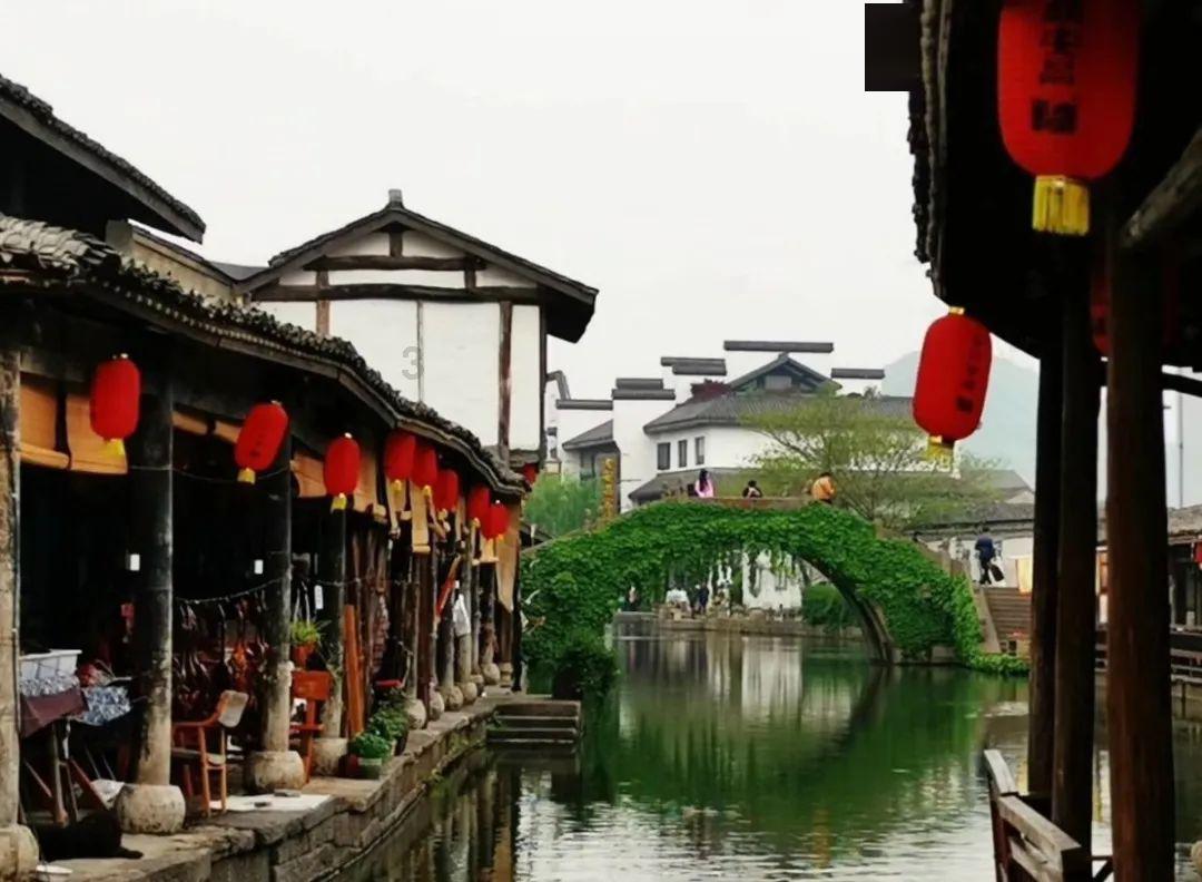 勿忘我