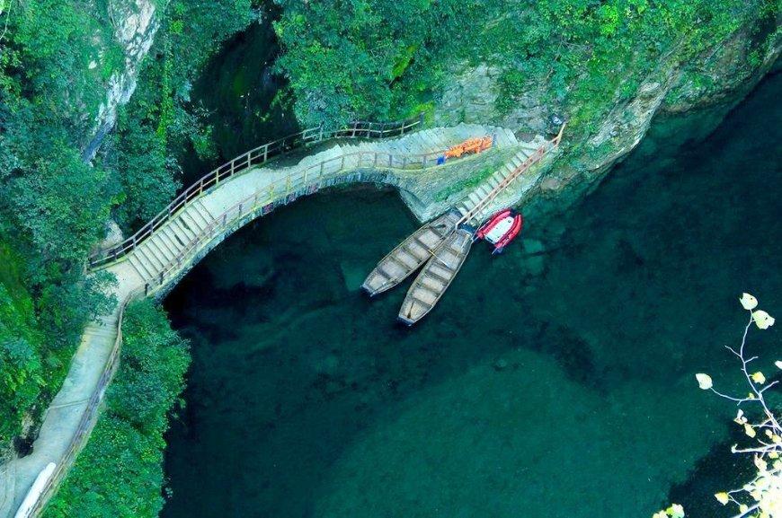 金刚鹦鹉逃生